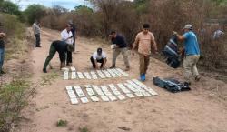 Detienen en Salta a dos pilotos bolivianos tras hallazgo de avioneta con 364 kilos de cocaína