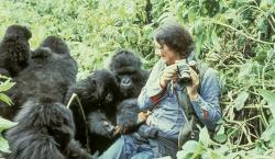 Cuando el silencio de la selva habla