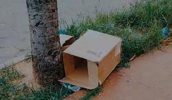 Hallan otro recién nacido sin vida en una calle céntrica de Santa Cruz