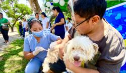 Desplegarán 2 mil brigadas en ocho municipios cruceños para la vacunación de perros y gatos