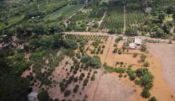 Desastre en Santa Cruz: Inundaciones mortales obligan a declarar emergencia departamental