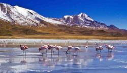 Feriado largo de Año Nuevo: el sector turístico pronostica un movimiento económico de $60 millones