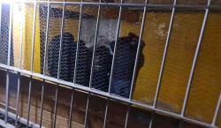 Cinco policías son investigados por cobros irregulares en la frontera de Bolivia con Chile