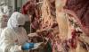 Bolivia concreta los dos primeros envíos de carne bovina a Egipto