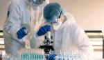Cáncer colorrectal y de mama: los tres ensayos clínicos que apuntan a optimizar su tratamiento