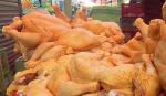 La Paz y Cochabamba enfrentan falta de pollo; en Santa Cruz el precio baja por exceso de oferta