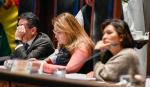 Senado conforma comisión para investigar responsabilidades por daños durante 53 días de bloqueos