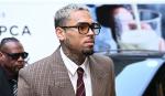 Chris Brown deberá pagar 13 millones de dólares por el ataque de uno de sus perros a una empleada doméstica