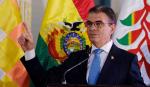 Paz anuncia apoyo al sector maderero luego de que pruebas descartaran droga en la madera boliviana