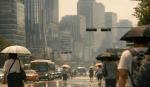 Alerta en Seúl: 16 muertos por ola de calor en Corea del Sur