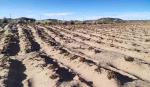Gobierno anuncia entrega de más de 95.000 títulos agrarios en los próximos meses