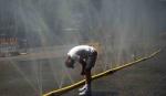 Alemania reporta 14.000 muertes vinculadas a la ola de calor