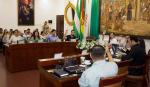 El Concejo Municipal aprueba un año de exención tributaria para nuevos emprendedores 