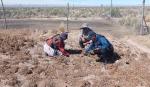 Senamhi pronostica temperaturas extremas y sequías en Tarija desde octubre