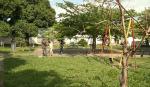 Dos hombres son hallados sin vida en distintos puntos de la ciudad de Santa Cruz  
