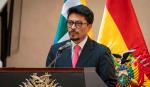 Aramayo confirma que el Gobierno pidió cooperación internacional para investigar a Evo