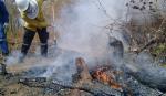 Santa Cruz registra cero incendios activos y 15 focos de calor